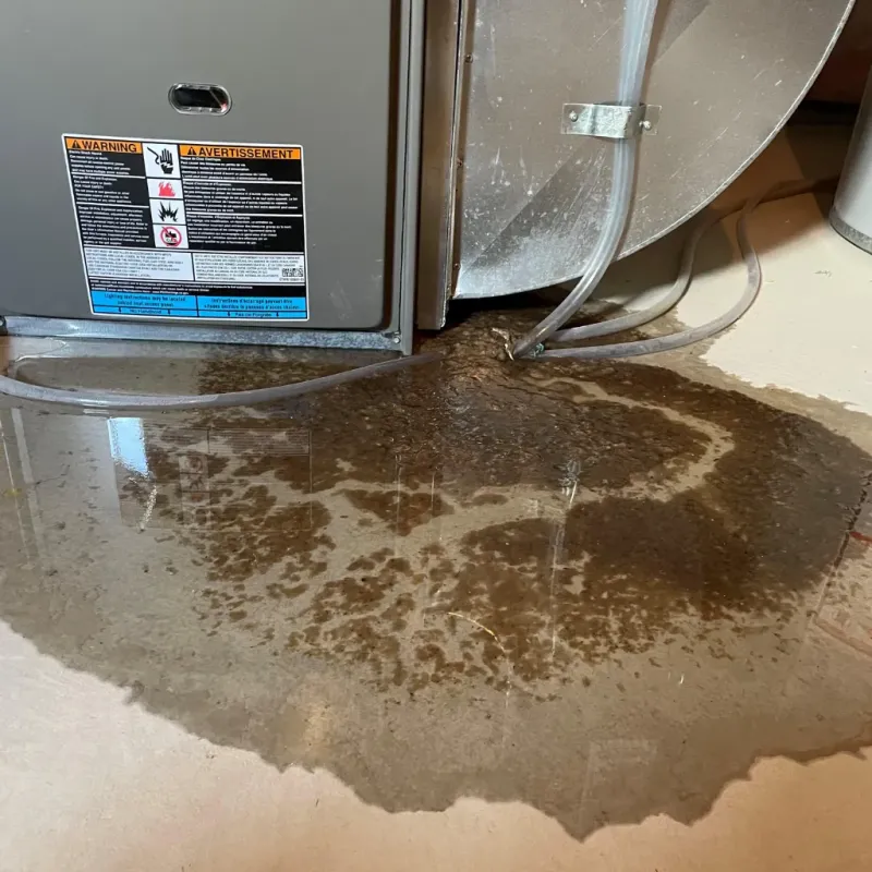 Appliance Leak Cleanup in Lawrence County, KY