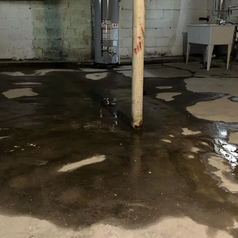 Emergency Water Extraction And Removal in Lawrence County, KY